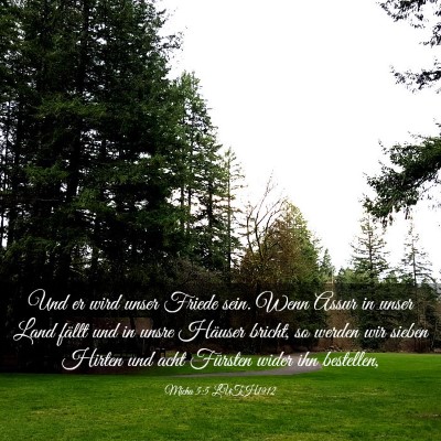 Picture 03 - Micha 5:5 LUTH1912 - Und er wird unser Friede sein. Wenn Assur in - Bible Verse Picture