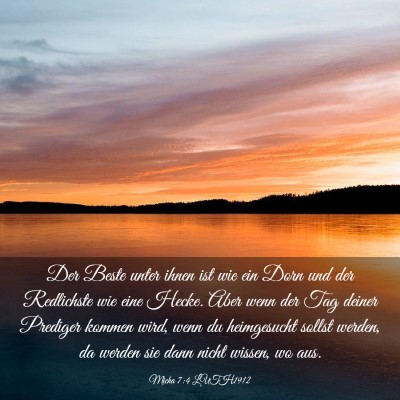 Picture 03 - Micha 7:4 LUTH1912 - Der Beste unter ihnen ist wie ein Dorn und der - Bible Verse Picture