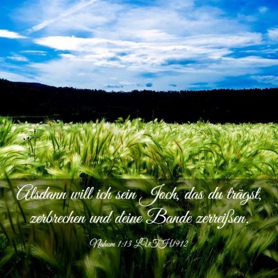 Picture 03 - Nahum 1:13 LUTH1912 - Alsdann will ich sein Joch, das du trägst, - Bible Verse Picture