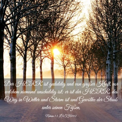 Picture 03 - Nahum 1:3 LUTH1912 - Der HERR ist geduldig und von großer Kraft, vor - Bible Verse Picture