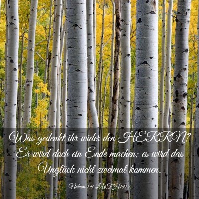 Picture 03 - Nahum 1:9 LUTH1912 - Was gedenkt ihr wider den HERRN? Er wird doch ein - Bible Verse Picture