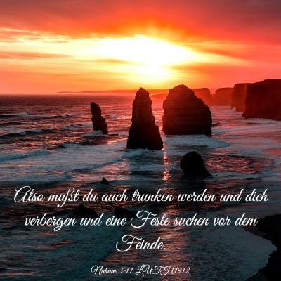 Picture 03 - Nahum 3:11 LUTH1912 - Also mußt du auch trunken werden und dich - Bible Verse Picture