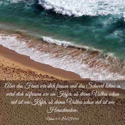 Picture 03 - Nahum 3:15 LUTH1912 - Aber das Feuer wir dich fressen und das Schwert - Bible Verse Picture