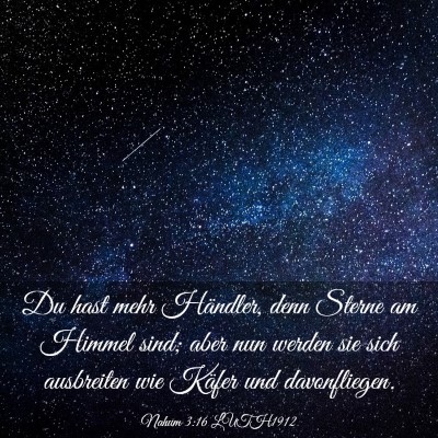 Picture 03 - Nahum 3:16 LUTH1912 - Du hast mehr Händler, denn Sterne am Himmel - Bible Verse Picture