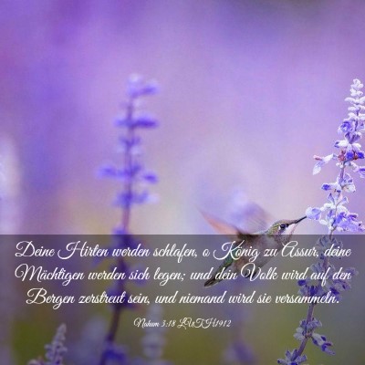 Picture 03 - Nahum 3:18 LUTH1912 - Deine Hirten werden schlafen, o König zu Assur, - Bible Verse Picture