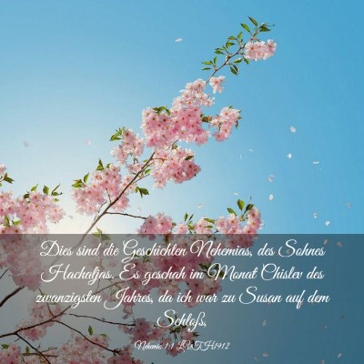 Picture 03 - Nehemia 1:1 LUTH1912 - Dies sind die Geschichten Nehemias, des Sohnes - Bible Verse Picture