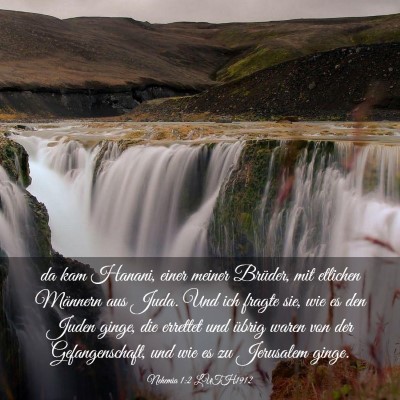 Picture 03 - Nehemia 1:2 LUTH1912 - da kam Hanani, einer meiner Brüder, mit etlichen - Bible Verse Picture