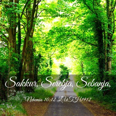 Picture 03 - Nehemia 10:12 LUTH1912 - Sakkur, Serebja, - Bible Verse Picture