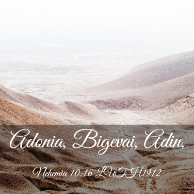 Picture 03 - Nehemia 10:16 LUTH1912 - Adonia, Bigevai, - Bible Verse Picture