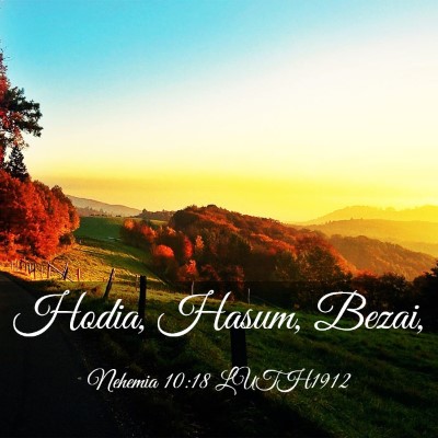 Picture 03 - Nehemia 10:18 LUTH1912 - Hodia, Hasum, - Bible Verse Picture