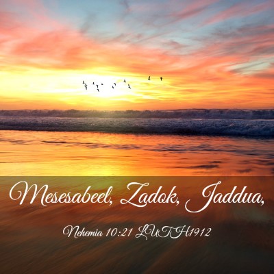Picture 03 - Nehemia 10:21 LUTH1912 - Mesesabeel, Zadok, - Bible Verse Picture