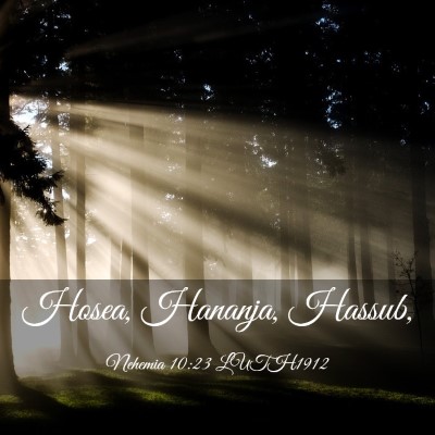 Picture 03 - Nehemia 10:23 LUTH1912 - Hosea, Hananja, - Bible Verse Picture