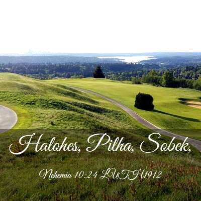 Picture 03 - Nehemia 10:24 LUTH1912 - Halohes, Pilha, - Bible Verse Picture