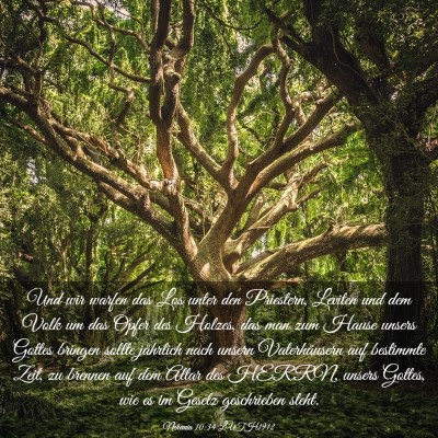 Picture 03 - Nehemia 10:34 LUTH1912 - Und wir warfen das Los unter den Priestern, - Bible Verse Picture