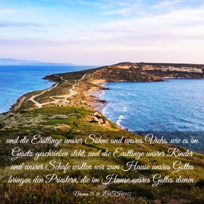 Picture 03 - Nehemia 10:36 LUTH1912 - und die Erstlinge unsrer Söhne und unsres Viehs, - Bible Verse Picture