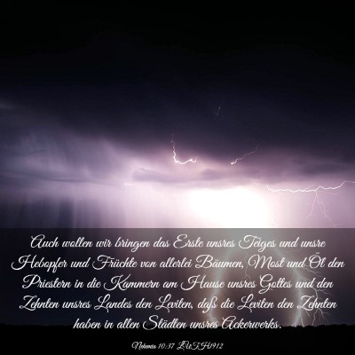 Picture 03 - Nehemia 10:37 LUTH1912 - Auch wollen wir bringen das Erste unsres Teiges - Bible Verse Picture
