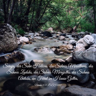 Picture 03 - Nehemia 11:11 LUTH1912 - Seraja, der Sohn Hilkias, des Sohnes Mesullams, - Bible Verse Picture