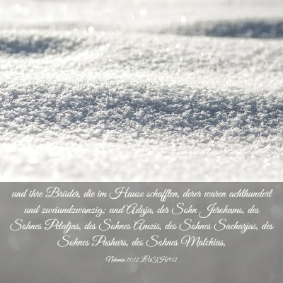 Picture 03 - Nehemia 11:12 LUTH1912 - und ihre Brüder, die im Hause schafften, derer - Bible Verse Picture