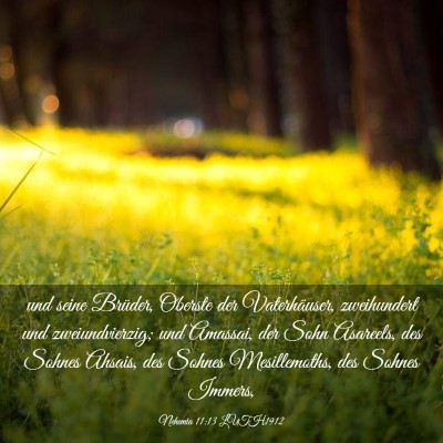 Picture 03 - Nehemia 11:13 LUTH1912 - und seine Brüder, Oberste der Vaterhäuser, - Bible Verse Picture
