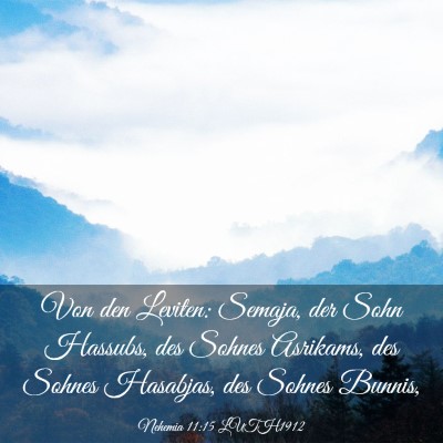 Picture 03 - Nehemia 11:15 LUTH1912 - Von den Leviten: Semaja, der Sohn Hassubs, des - Bible Verse Picture