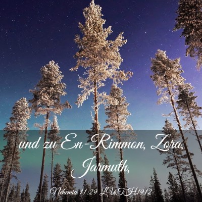 Picture 03 - Nehemia 11:29 LUTH1912 - und zu En-Rimmon, Zora, - Bible Verse Picture