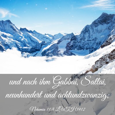 Picture 03 - Nehemia 11:8 LUTH1912 - und nach ihm Gabbai, Sallai, neunhundert und - Bible Verse Picture