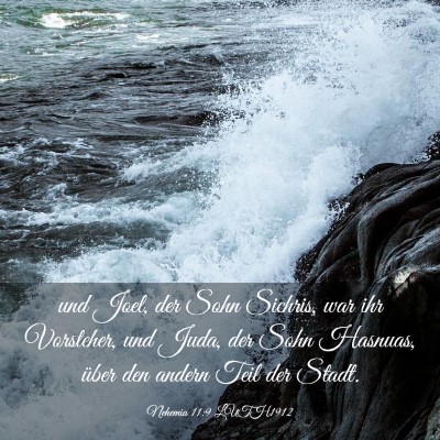 Picture 03 - Nehemia 11:9 LUTH1912 - und Joel, der Sohn Sichris, war ihr Vorsteher, - Bible Verse Picture