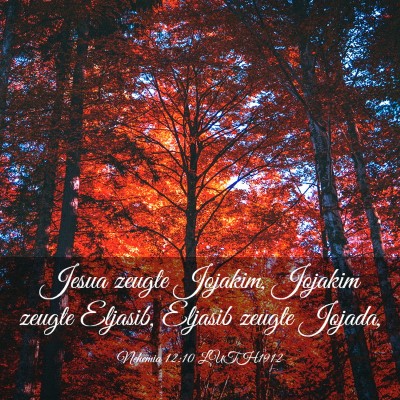 Picture 03 - Nehemia 12:10 LUTH1912 - Jesua zeugte Jojakim, Jojakim zeugte Eljasib, - Bible Verse Picture