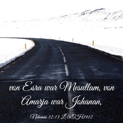 Picture 03 - Nehemia 12:13 LUTH1912 - von Esra war Mesullam, von Amarja war - Bible Verse Picture