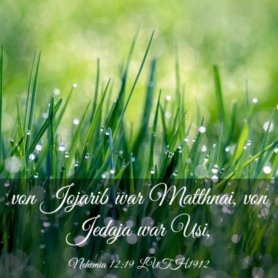 Picture 03 - Nehemia 12:19 LUTH1912 - von Jojarib war Matthnai, von Jedaja war - Bible Verse Picture