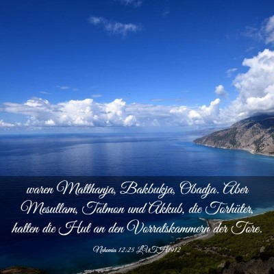 Picture 03 - Nehemia 12:25 LUTH1912 - waren Matthanja, Bakbukja, Obadja. Aber Mesullam, - Bible Verse Picture