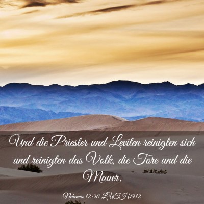 Picture 03 - Nehemia 12:30 LUTH1912 - Und die Priester und Leviten reinigten sich und - Bible Verse Picture