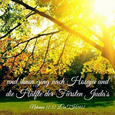Picture 03 - Nehemia 12:32 LUTH1912 - und ihnen ging nach Hosaja und die Hälfte der - Bible Verse Picture