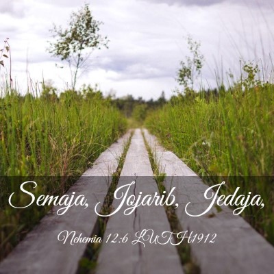 Picture 03 - Nehemia 12:6 LUTH1912 - Semaja, Jojarib, - Bible Verse Picture