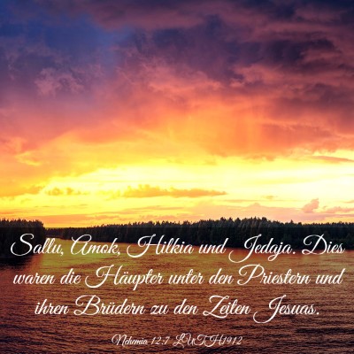Picture 03 - Nehemia 12:7 LUTH1912 - Sallu, Amok, Hilkia und Jedaja. Dies waren die - Bible Verse Picture
