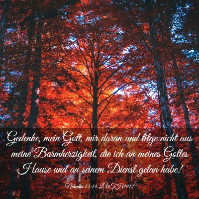 Picture 03 - Nehemia 13:14 LUTH1912 - Gedenke, mein Gott, mir daran und tilge nicht aus - Bible Verse Picture