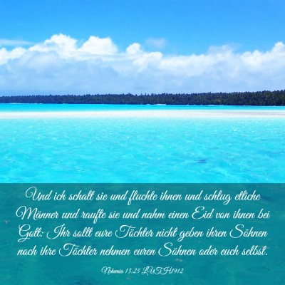 Picture 03 - Nehemia 13:25 LUTH1912 - Und ich schalt sie und fluchte ihnen und schlug - Bible Verse Picture