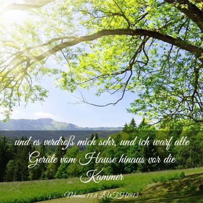 Picture 03 - Nehemia 13:8 LUTH1912 - und es verdroß mich sehr, und ich warf alle - Bible Verse Picture