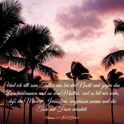 Picture 03 - Nehemia 2:13 LUTH1912 - Und ich ritt zum Taltor aus bei der Nacht und - Bible Verse Picture