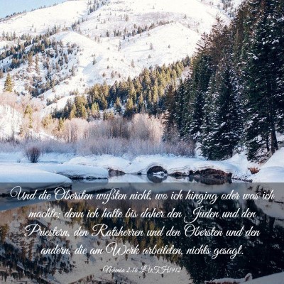 Picture 03 - Nehemia 2:16 LUTH1912 - Und die Obersten wußten nicht, wo ich hinging - Bible Verse Picture