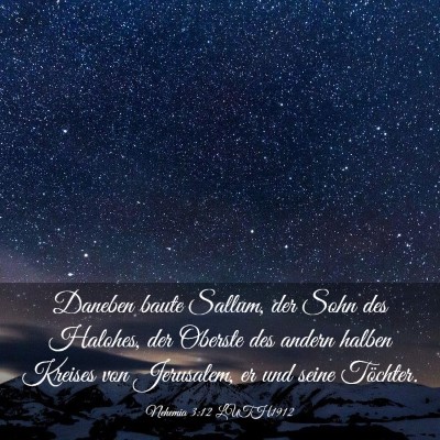 Picture 03 - Nehemia 3:12 LUTH1912 - Daneben baute Sallum, der Sohn des Halohes, der - Bible Verse Picture