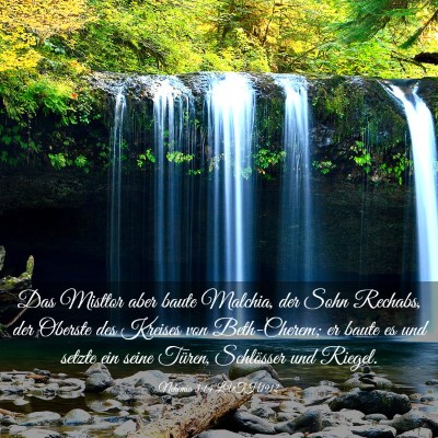 Picture 03 - Nehemia 3:14 LUTH1912 - Das Misttor aber baute Malchia, der Sohn Rechabs, - Bible Verse Picture