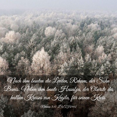 Picture 03 - Nehemia 3:17 LUTH1912 - Nach ihm bauten die Leviten, Rehum, der Sohn - Bible Verse Picture