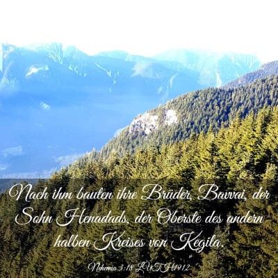 Picture 03 - Nehemia 3:18 LUTH1912 - Nach ihm bauten ihre Brüder, Bavvai, der Sohn - Bible Verse Picture