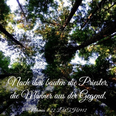 Picture 03 - Nehemia 3:22 LUTH1912 - Nach ihm bauten die Priester, die Männer aus der - Bible Verse Picture