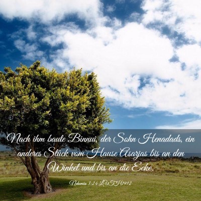 Picture 03 - Nehemia 3:24 LUTH1912 - Nach ihm baute Binnui, der Sohn Henadads, ein - Bible Verse Picture