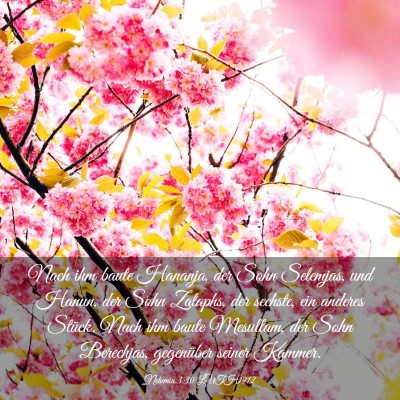 Picture 03 - Nehemia 3:30 LUTH1912 - Nach ihm baute Hananja, der Sohn Selemjas, und - Bible Verse Picture