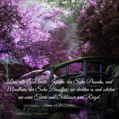 Picture 03 - Nehemia 3:6 LUTH1912 - Das alte Tor baute Jojada, der Sohn Paseahs, und - Bible Verse Picture