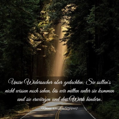 Picture 03 - Nehemia 4:11 LUTH1912 - Unsre Widersacher aber gedachten: Sie sollen's - Bible Verse Picture