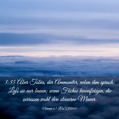 Picture 03 - Nehemia 4:3 LUTH1912 - 3:35 Aber Tobia, der Ammoniter, neben ihm sprach: - Bible Verse Picture